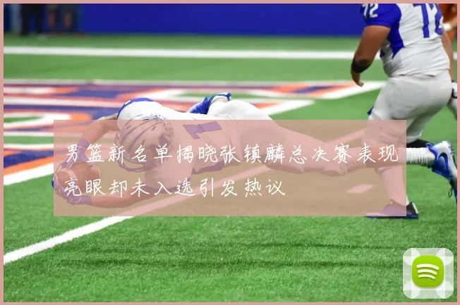 男篮新名单揭晓张镇麟总决赛表现亮眼却未入选引发热议