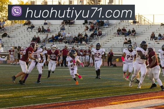 火狐体育平台生态图