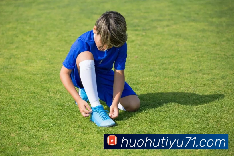 火狐体育APP 封面图